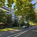 Treetops In Toorak 2Br Midcentury Entire Apartment